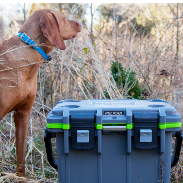  Dark Grey / Green Pelican 20QT Cooler Dog