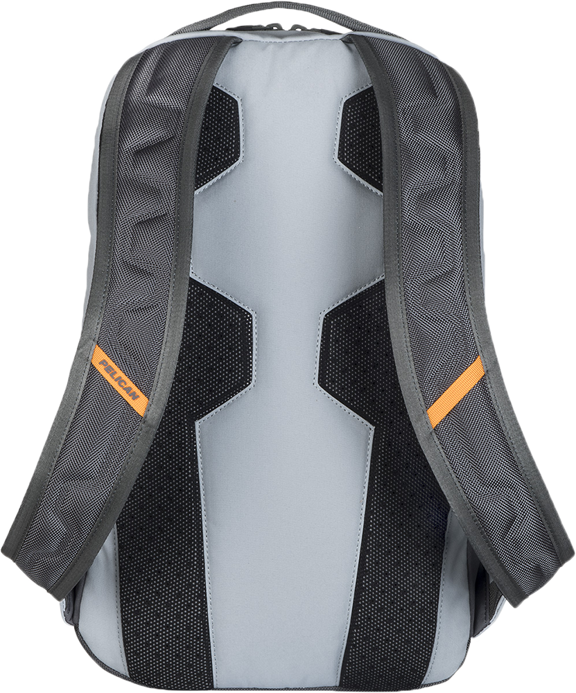 Grey MPB20 Pelican Backpack Back